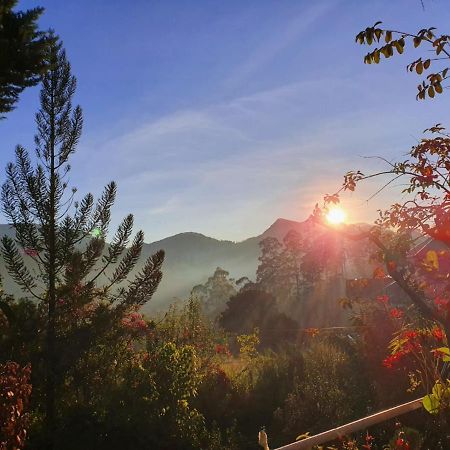 Princess Of Dickoya Homestay ฮัตตอน ภายนอก รูปภาพ