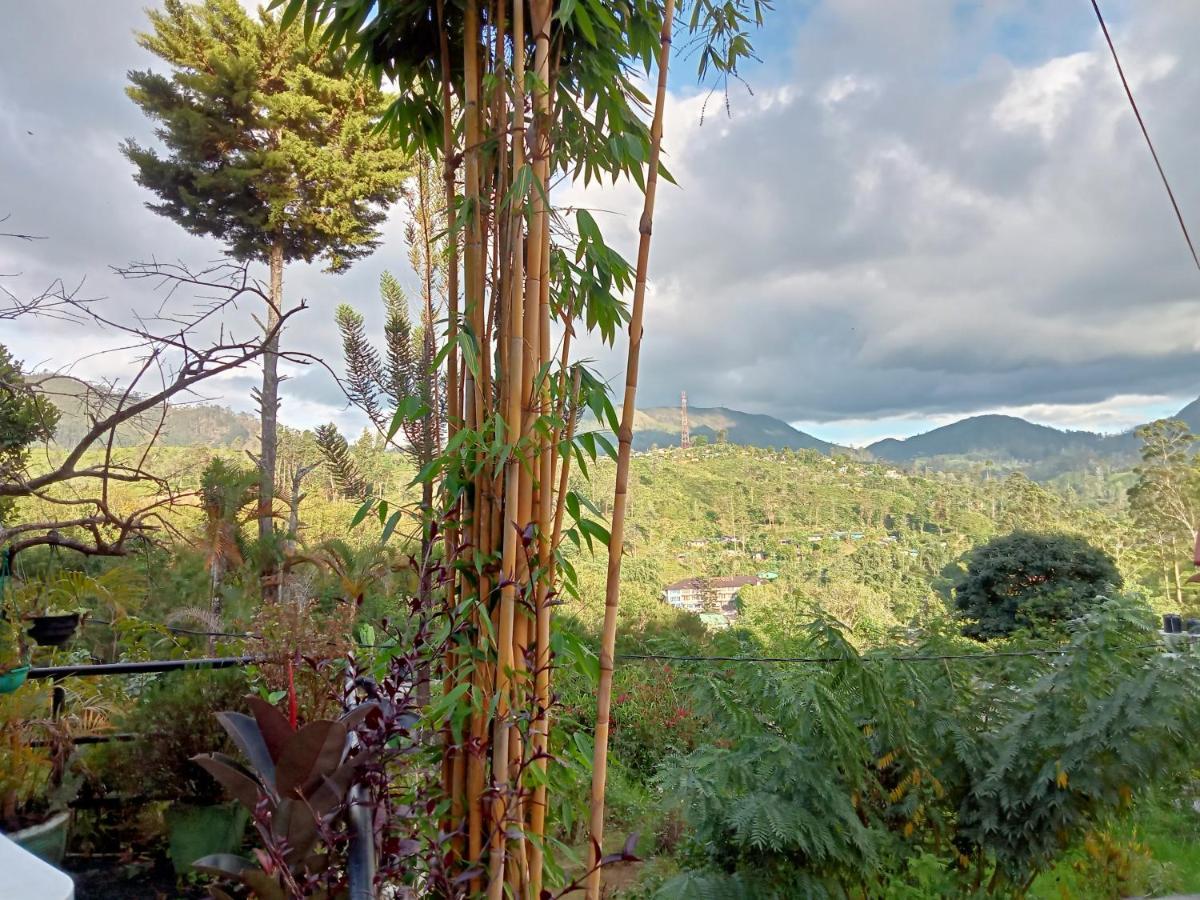 Princess Of Dickoya Homestay ฮัตตอน ภายนอก รูปภาพ