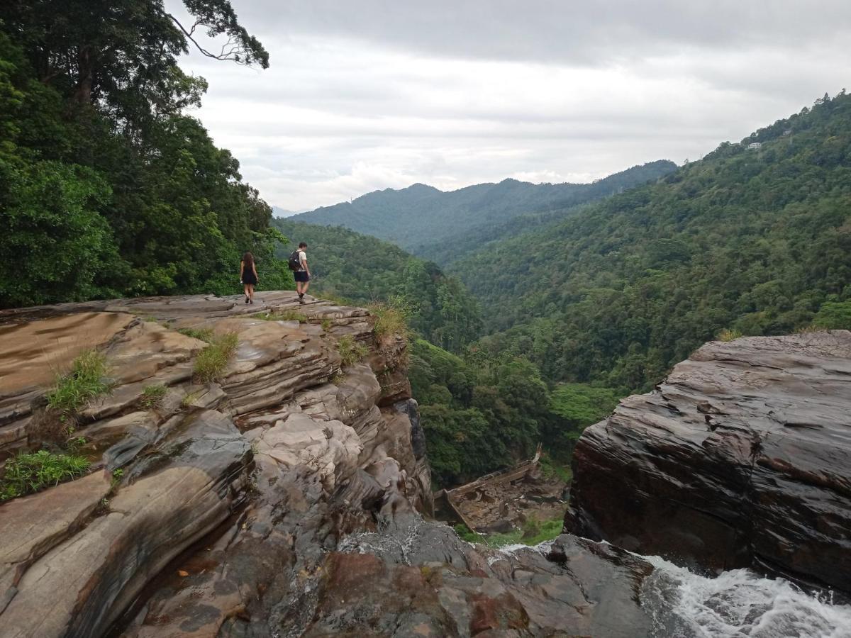 Princess Of Dickoya Homestay ฮัตตอน ภายนอก รูปภาพ