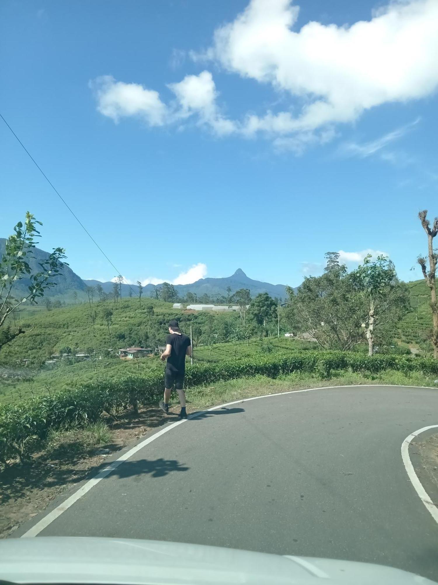 Princess Of Dickoya Homestay ฮัตตอน ภายนอก รูปภาพ