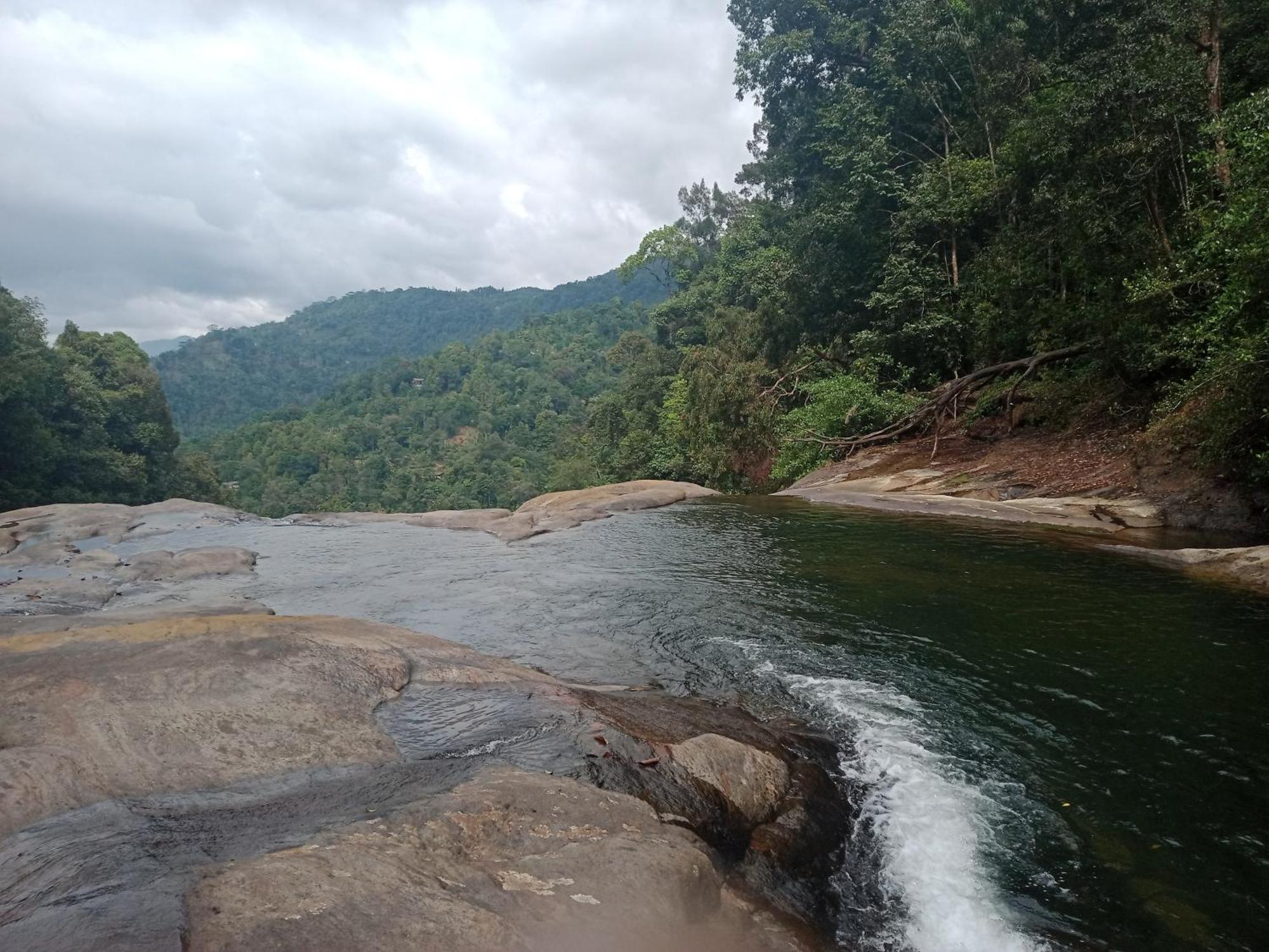 Princess Of Dickoya Homestay ฮัตตอน ห้อง รูปภาพ
