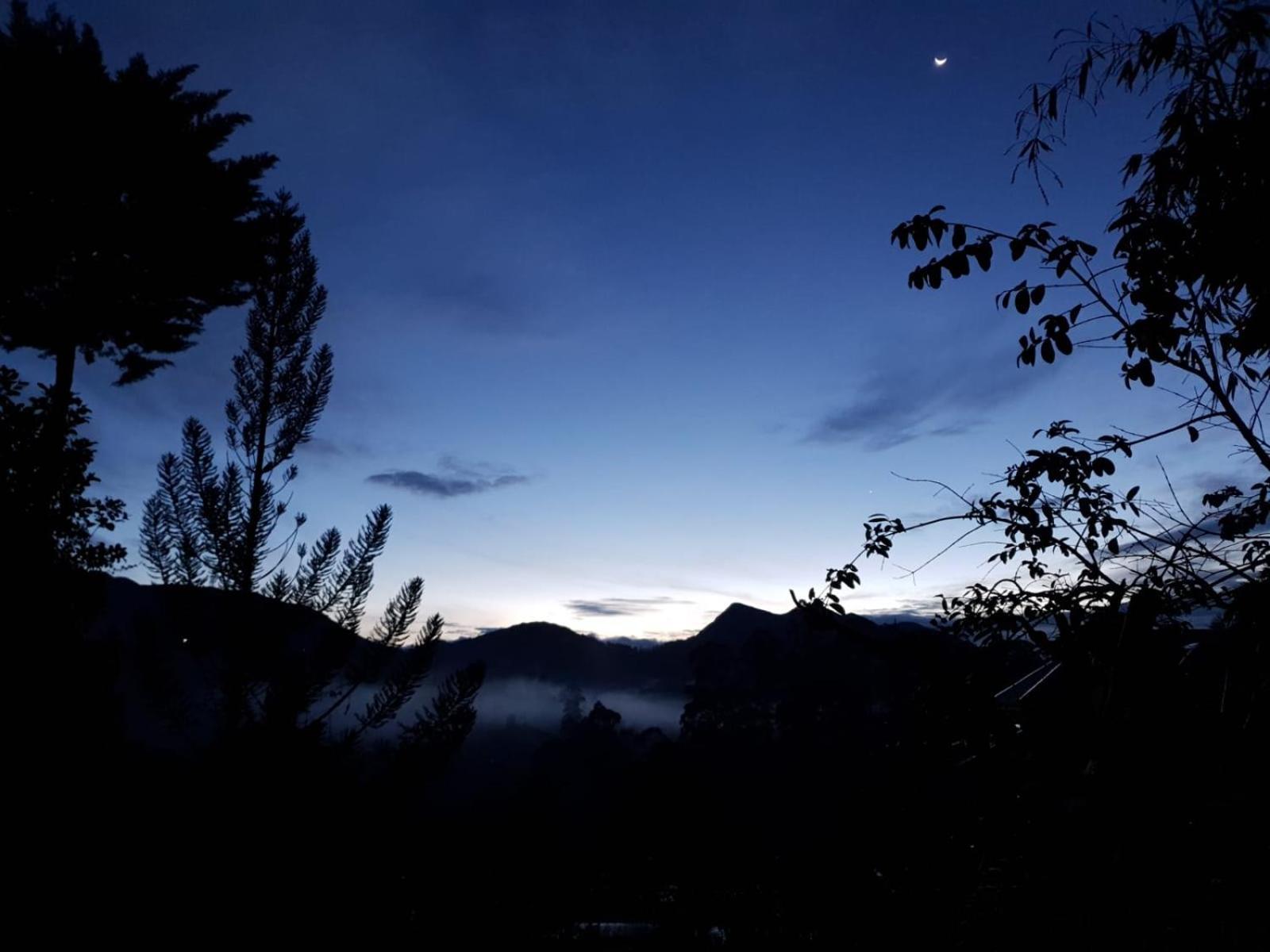 Princess Of Dickoya Homestay ฮัตตอน ห้อง รูปภาพ